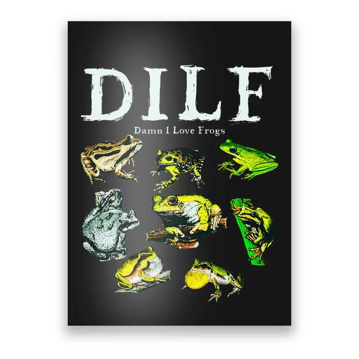 Types Of Frogs Dilf Damn I Love Frogs Poster