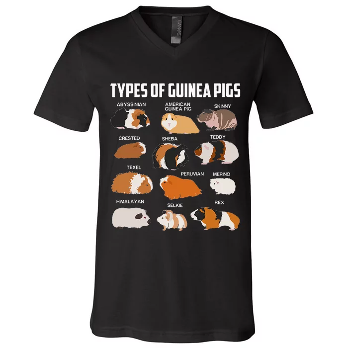 Types Of Guinea Pigs Owner Cool Animal Xmas Gift V-Neck T-Shirt