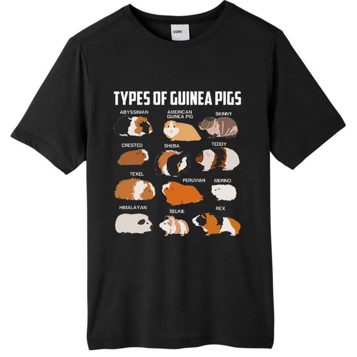 Types Of Guinea Pigs Owner Cool Animal Xmas Gift ChromaSoft Performance T-Shirt