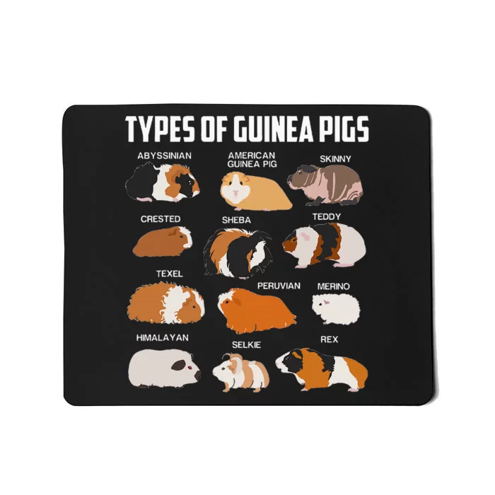 Types Of Guinea Pigs Owner Cool Animal Xmas Gift Mousepad