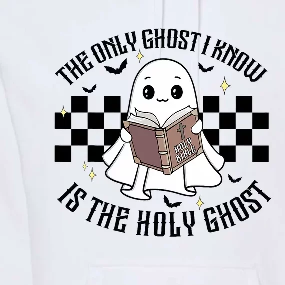 The Only Ghost I Know Is The Holy Ghost Funny Halloween Premium Hoodie