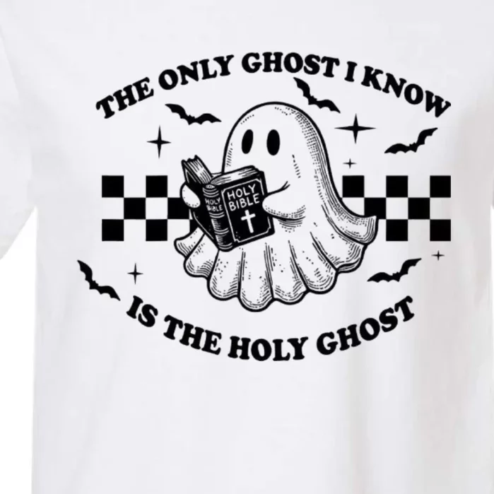 The Only Ghost I Know Is The Holy Ghost Halloween Garment-Dyed Heavyweight T-Shirt