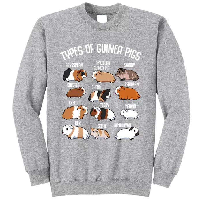 Types Of Guinea Pigs Household Pet Animal Rodent Fluffy Cute Great Gift Sweatshirt