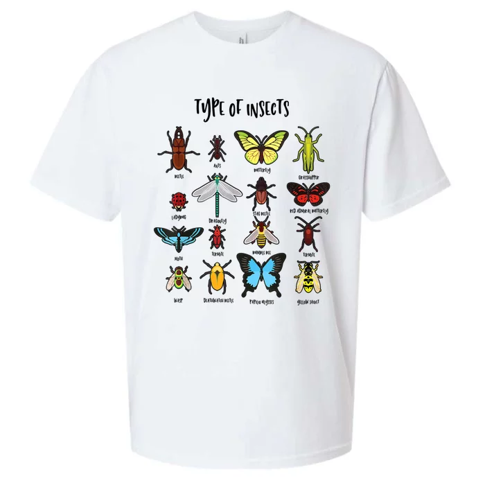 Types Of Insect Collector Bugs Entomology Bugs Beetle Biology Bug Sueded Cloud Jersey T-Shirt