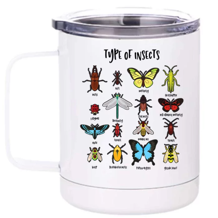 Types Of Insect Collector Bugs Entomology Bugs Beetle Biology Bug Front & Back 12oz Stainless Steel Tumbler Cup