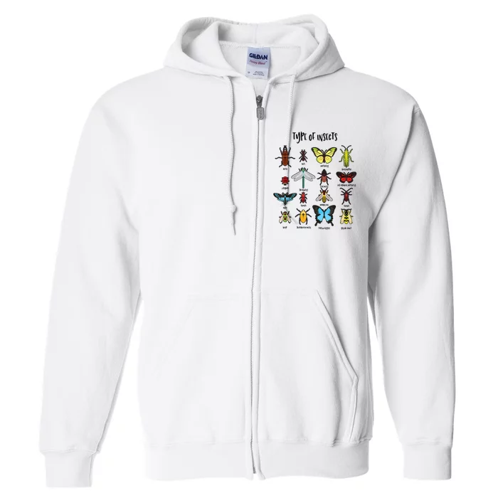 Types Of Insect Collector Bugs Entomology Bugs Beetle Biology Bug Full Zip Hoodie