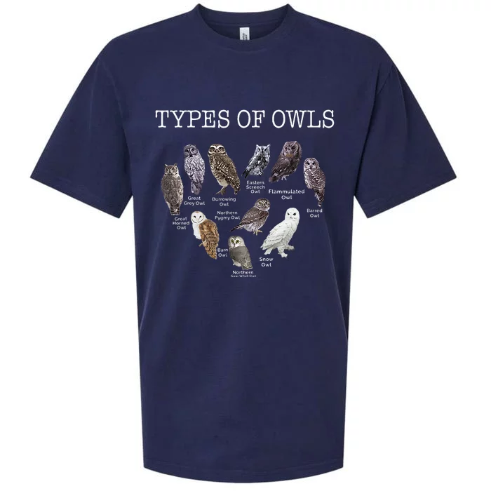 Types Of Owls Educational Cute Owl Lover Sueded Cloud Jersey T-Shirt