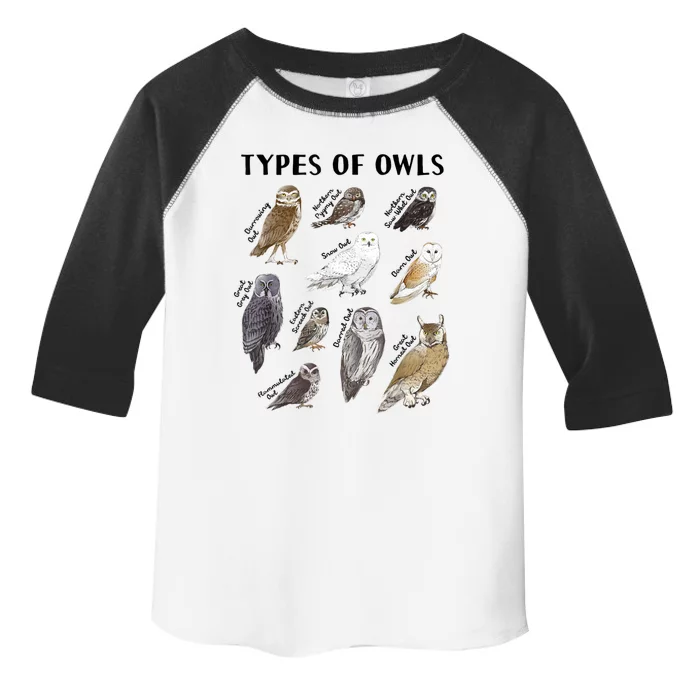 Types Of Owls Educational Collection Cute Owl Lover Toddler Fine Jersey T-Shirt