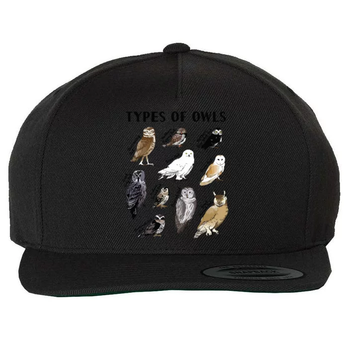 Types Of Owls Educational Collection Cute Owl Lover Gift Wool Snapback Cap