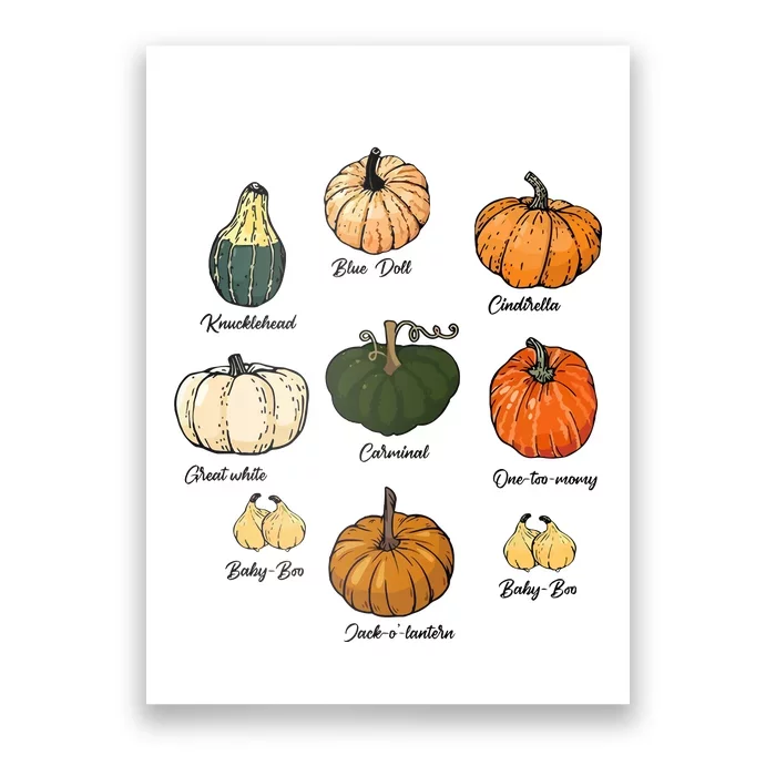 Type Of Pumpkins Fall Halloween Pumpkin Patch Poster