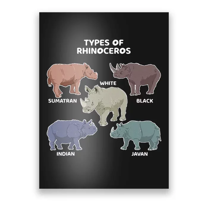 Types Of Rhinoceros Sumatran Javan Rhino Animal Art Poster