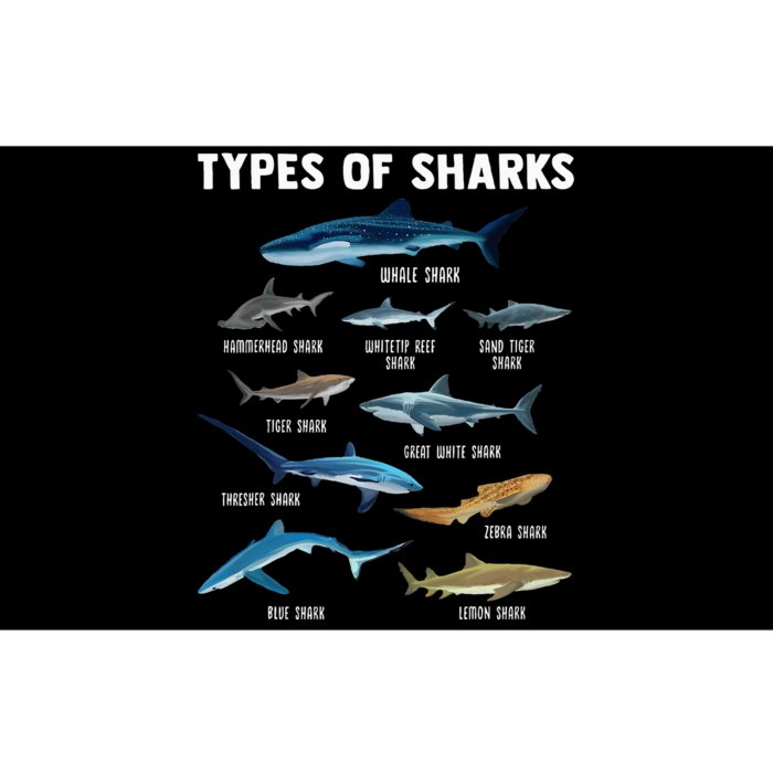 Types Of Sharks Shark Bumper Sticker