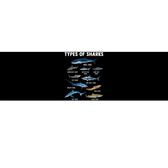 Types Of Sharks Shark Bumper Sticker