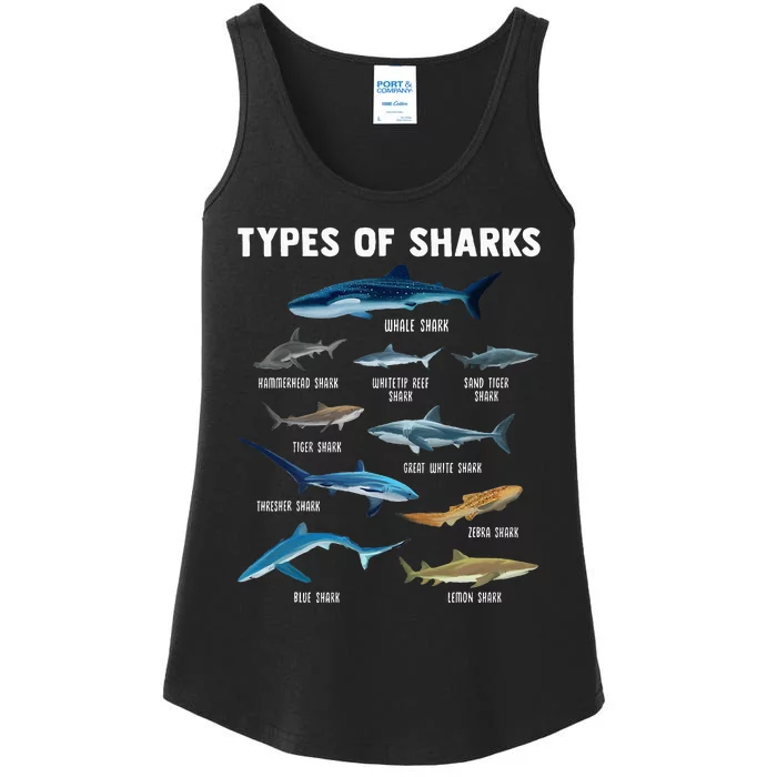 Types Of Sharks Shark Ladies Essential Tank