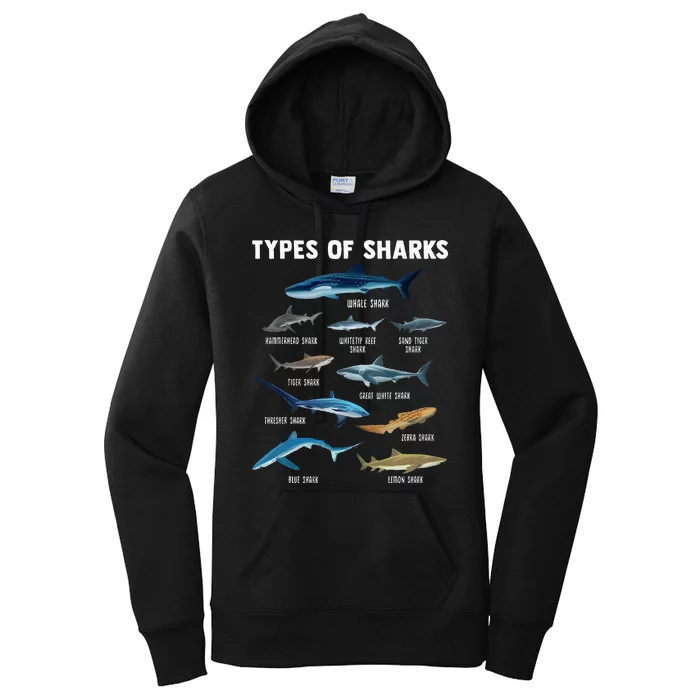 Types Of Sharks Shark Women's Pullover Hoodie