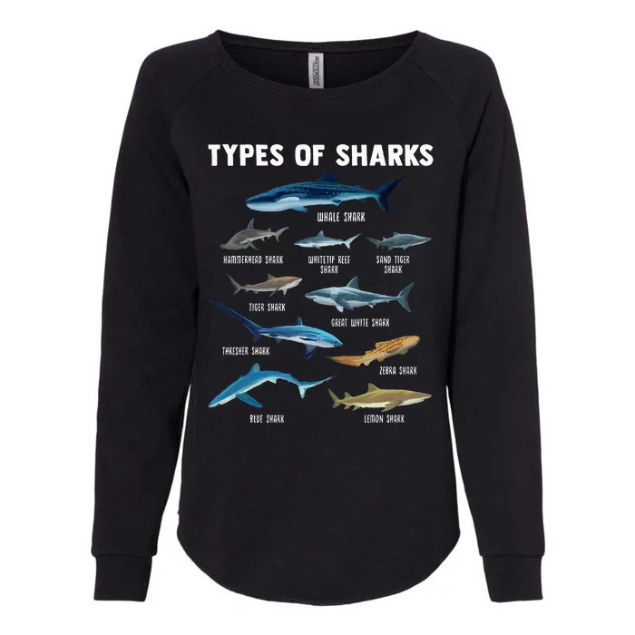 Types Of Sharks Shark Womens California Wash Sweatshirt