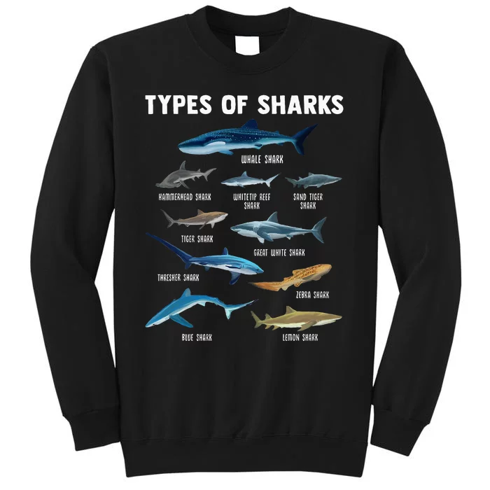 Types Of Sharks Shark Tall Sweatshirt