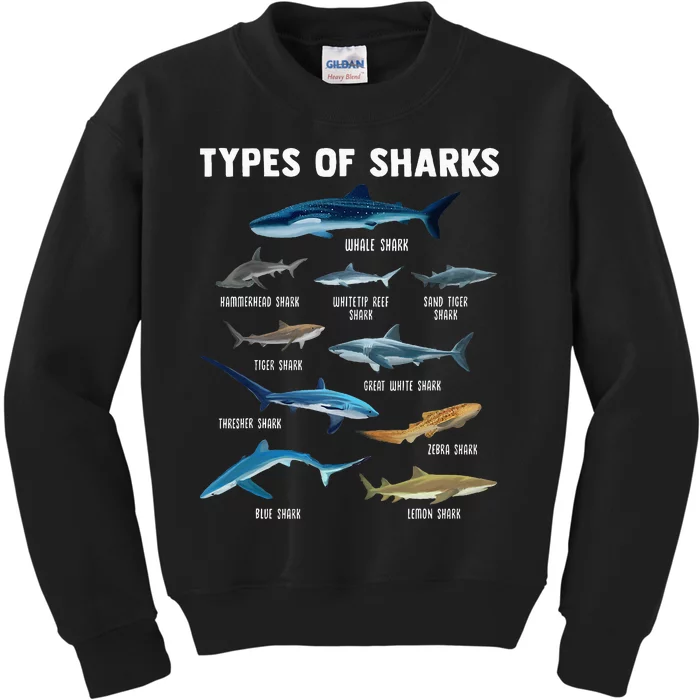 Types Of Sharks Shark Kids Sweatshirt