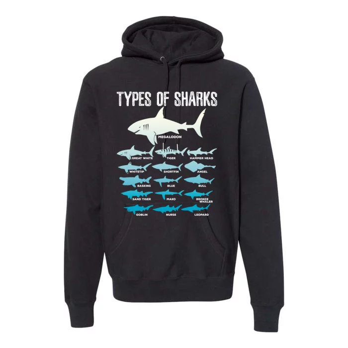 Types Of Sharks Marine Biologist 16 Shark Lovers Gift Premium Hoodie