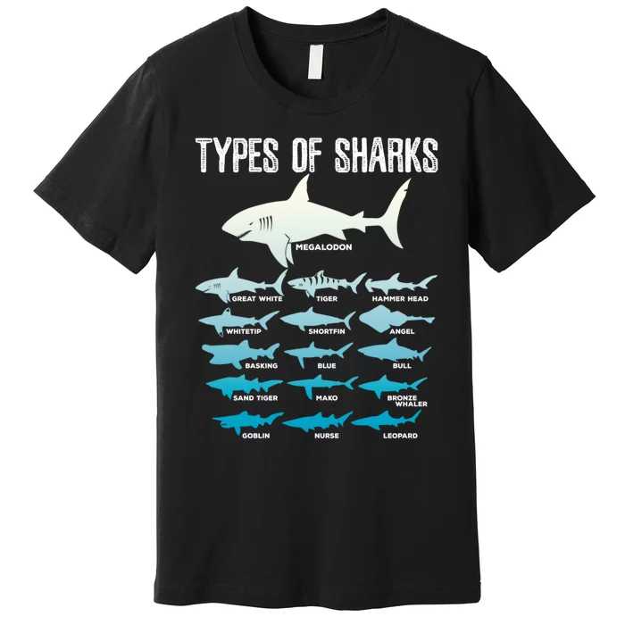 Types Of Sharks Marine Biologist 16 Shark Lovers Gift Premium T-Shirt