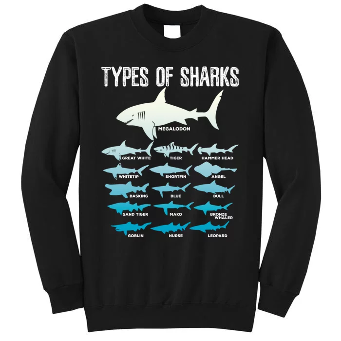 Types Of Sharks Marine Biologist 16 Shark Lovers Gift Tall Sweatshirt