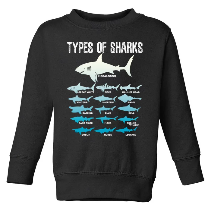 Types Of Sharks Marine Biologist 16 Shark Lovers Gift Toddler Sweatshirt