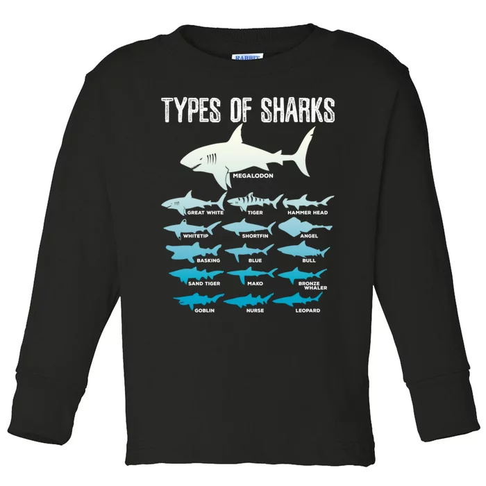 Types Of Sharks Marine Biologist 16 Shark Lovers Gift Toddler Long Sleeve Shirt