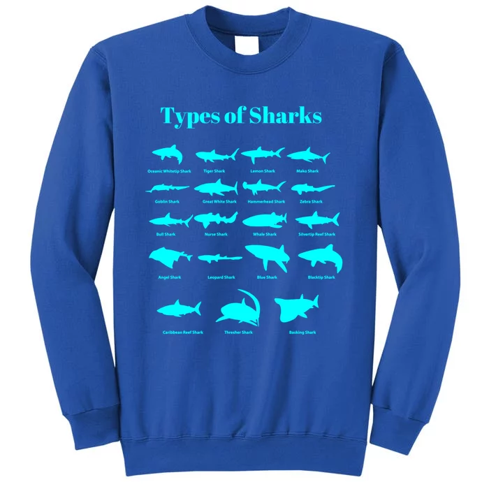 Types Of Sharks Shark Identification Gift Tall Sweatshirt