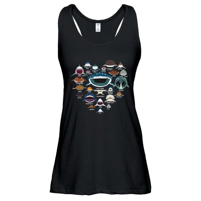 Types Of Shark Identification Shark Faces Tee Marine Biology Ladies Essential Flowy Tank