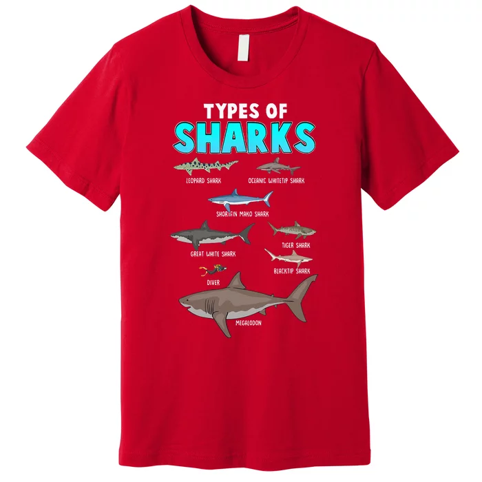 Types Of Sharks Ocean Marine Biology Fishing Shark Lovers Premium T-Shirt