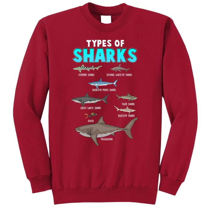 Types Of Sharks Ocean Marine Biology Fishing Shark Lovers Tall Sweatshirt