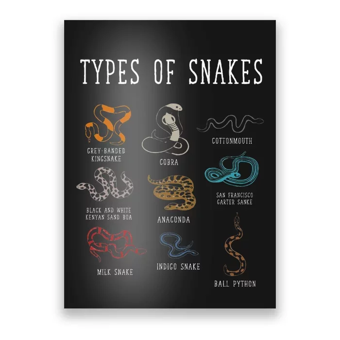 Types Of Snakes Educational Serpent 9 Different Snake Poster