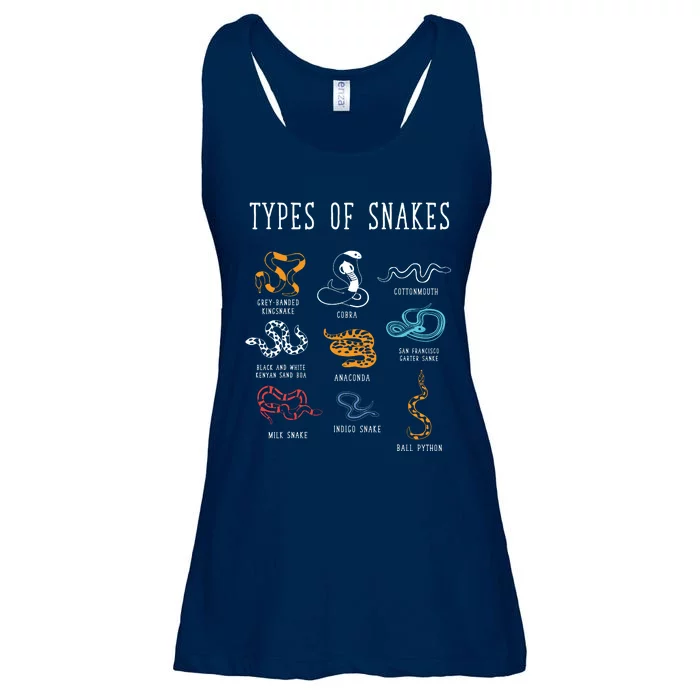 Types Of Snakes Educational Serpent 9 Different Snake Ladies Essential Flowy Tank