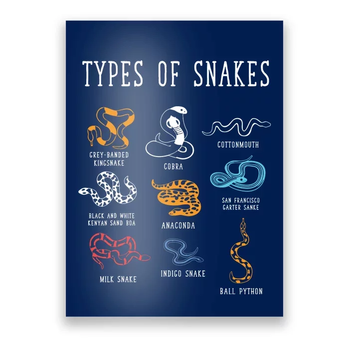 Types Of Snakes Educational Serpent 9 Different Snake Poster