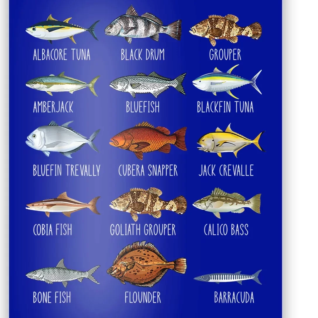 Types Of Saltwater Fish Species Biology Fishing Lover Poster