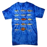 Types Of Saltwater Fish Species Biology Fishing Lover T-Shirt Unisex T-shirt