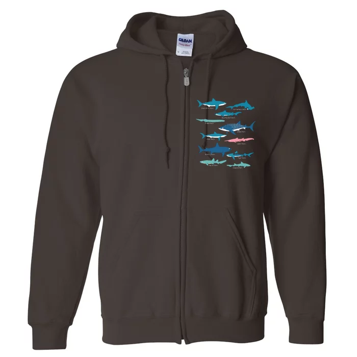 Types Of Sharks Educational Collection Marine Biologists Full Zip Hoodie