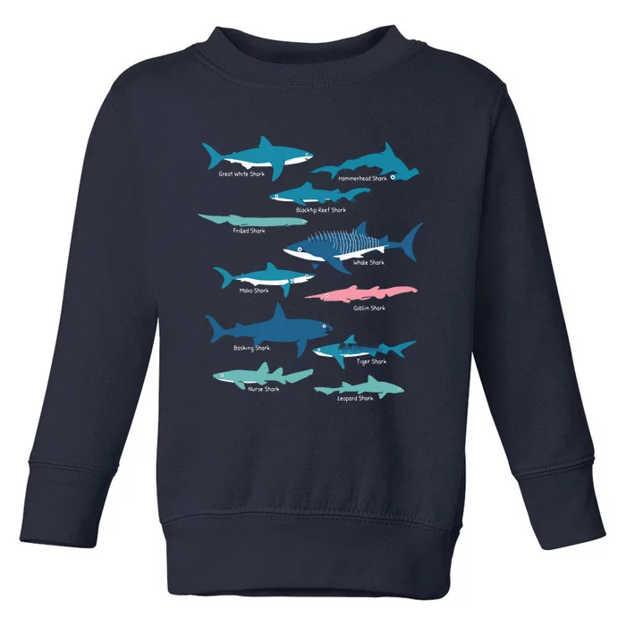 Types Of Sharks Educational Collection Marine Biologists Toddler Sweatshirt