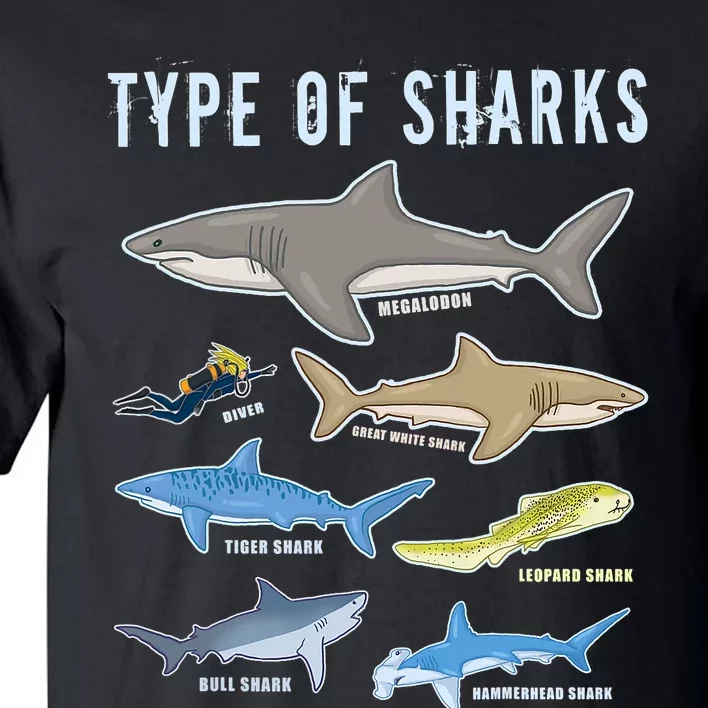 Type Of Sharks 6 Sharks Sea Creatures Cute Shark Tall T-Shirt