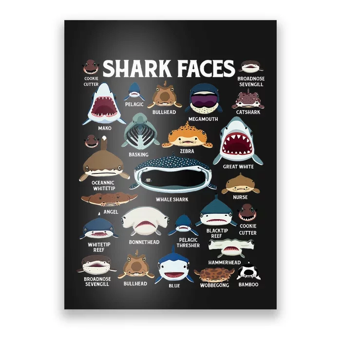 Types Of Sharks Faces Identification Birthday School Poster