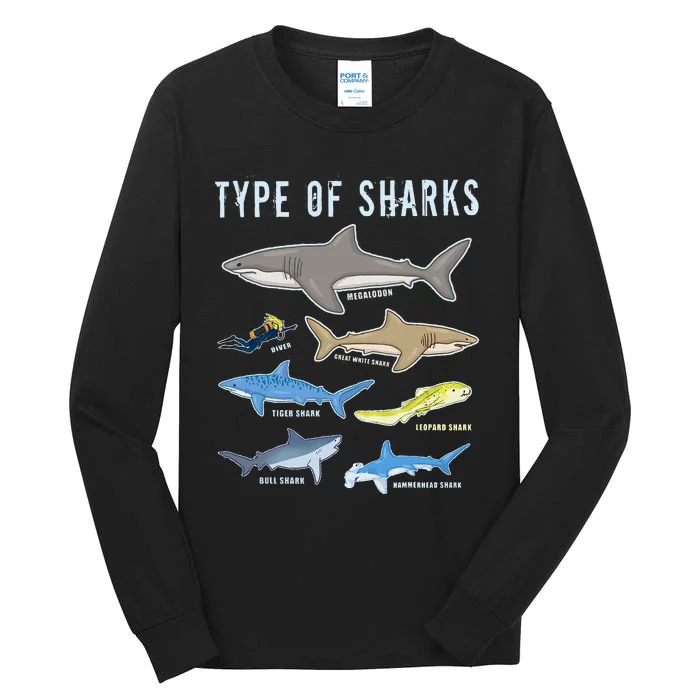 Type of Sharks 6 Sharks Sea Creatures Cute Shark Tall Long Sleeve T-Shirt