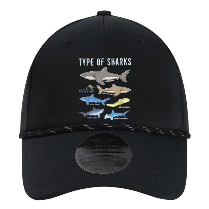 Type of Sharks 6 Sharks Sea Creatures Cute Shark Performance The Dyno Cap