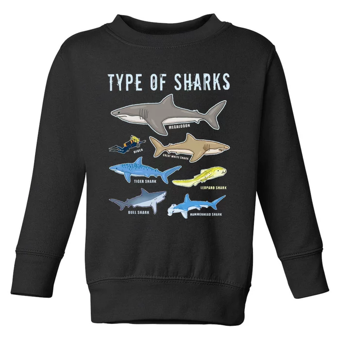 Type of Sharks 6 Sharks Sea Creatures Cute Shark Toddler Sweatshirt