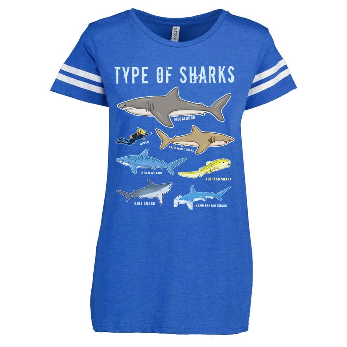 Type of Sharks 6 Sharks Sea Creatures Cute Shark Enza Ladies Jersey Football T-Shirt