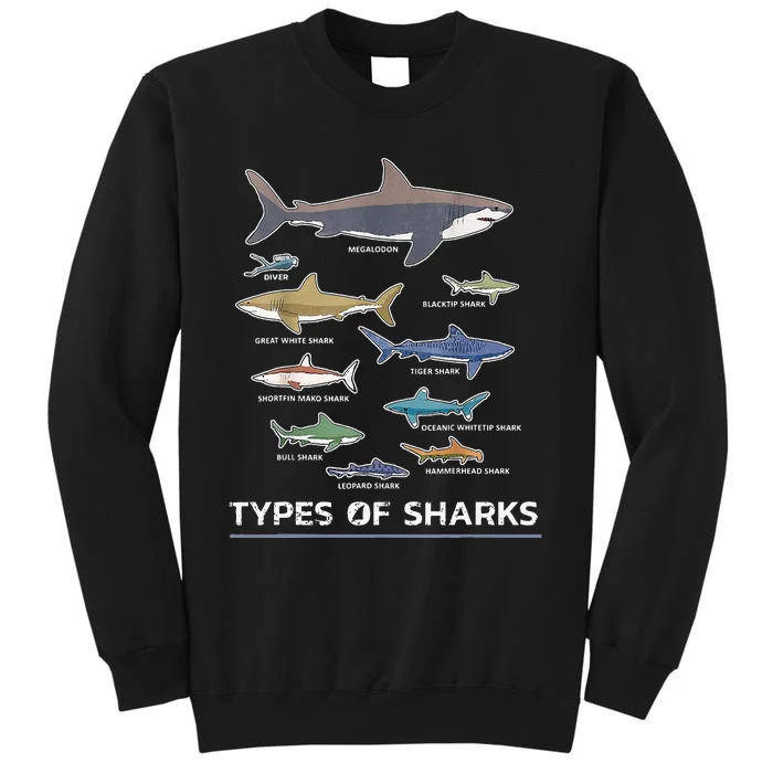 Types of Shark Megalodon Great White Nurse Shark Sweatshirt