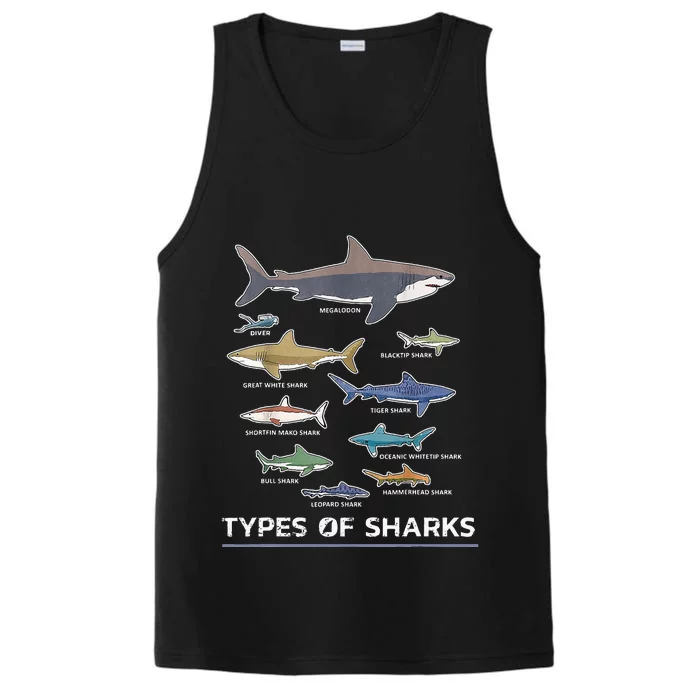 Types of Shark Megalodon Great White Nurse Shark Performance Tank