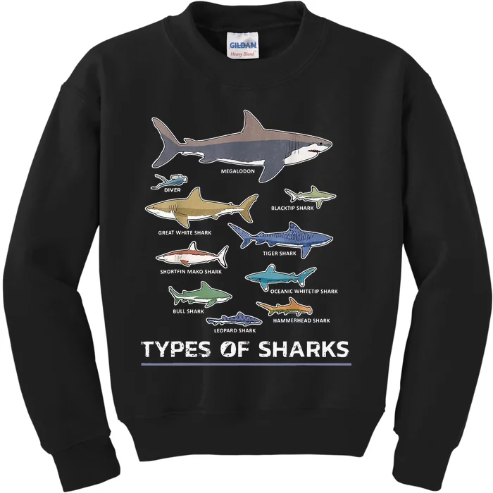 Types of Shark Megalodon Great White Nurse Shark Kids Sweatshirt