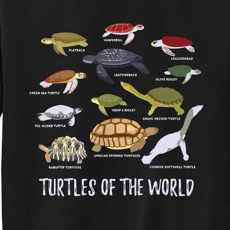 Types Of Turtle Tortoise Apparel Sea Turtle Lovers Sweatshirt