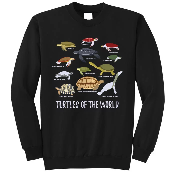 Types Of Turtle Tortoise Apparel Sea Turtle Lovers Sweatshirt