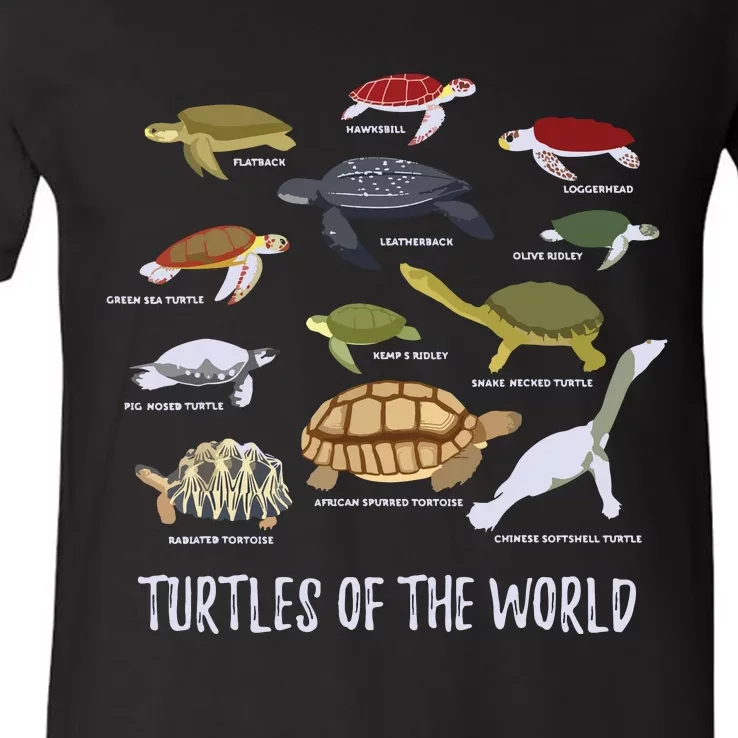 Types Of Turtle Tortoise Apparel Sea Turtle Lovers V-Neck T-Shirt